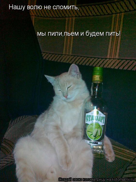 Нашу волю не сломить, мы пили,пьем и будем пить!... Котоматрица: Нашу волю не сломить, мы пили,пьем и будем пить!
