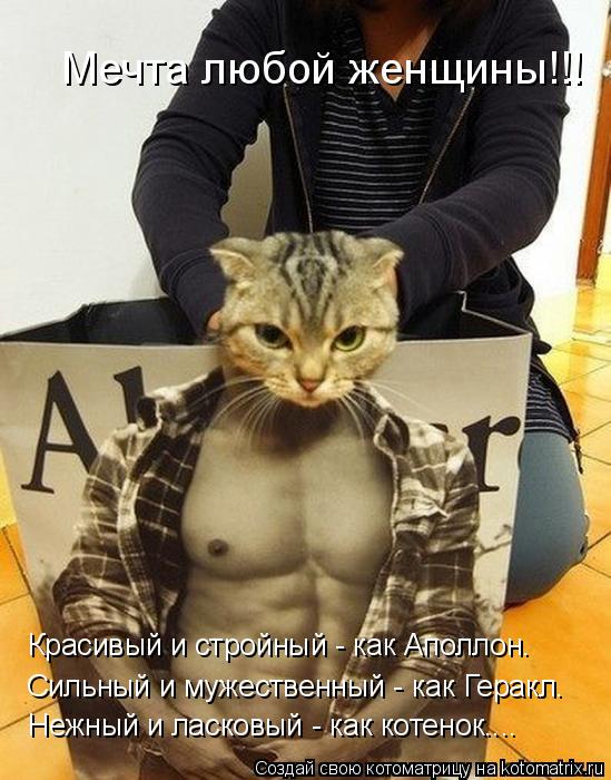 Котоматрица: Мечта любой женщины!!! Нежный и ласковый - как котенок.... Сильный и мужественный - как Геракл. Красивый и стройный - как Аполлон.