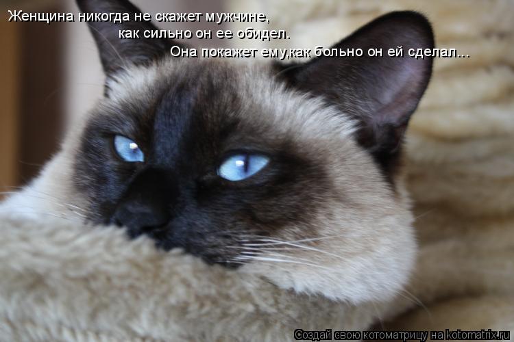 Котоматрица: Женщина никогда не скажет мужчине, как сильно он ее обидел. Она покажет ему,как больно он ей сделал...