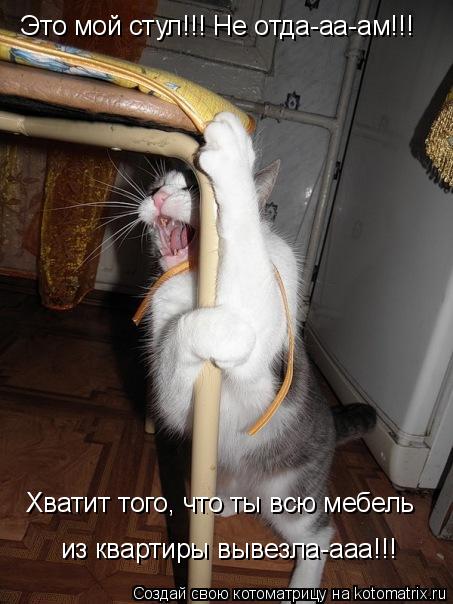 Это мой стул!!! Не отда-аа-ам!!! Хватит того, что ты всю мебель из квартиры вывезла-ааа!!!... Котоматрица: Это мой стул!!! Не отда-аа-ам!!! Хватит того, что ты всю мебель из квартиры вывезла-ааа!!!