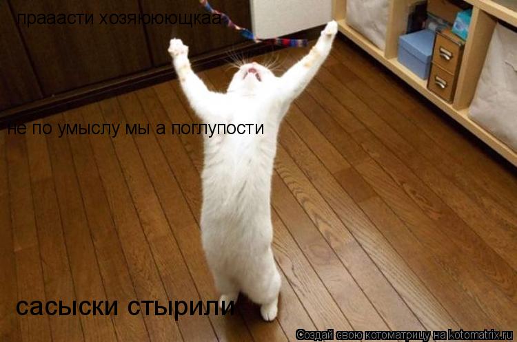 прааасти хозяююющкаа не по умыслу мы а поглупости сасыски стырили... Котоматрица: прааасти хозяююющкаа не по умыслу мы а поглупости сасыски стырили