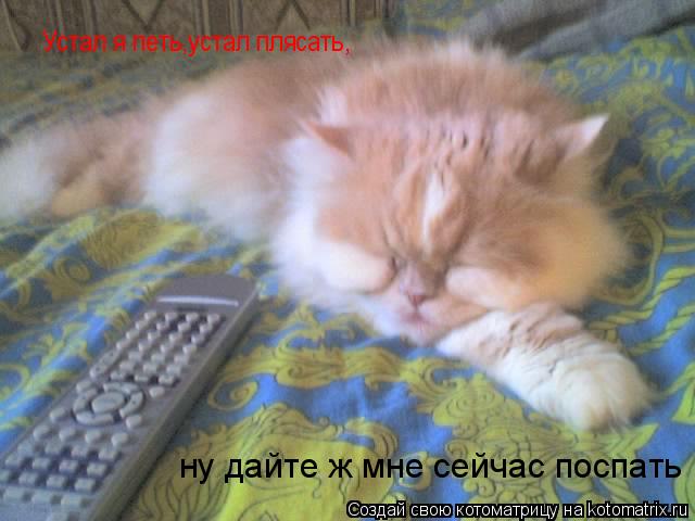 Устал я петь,устал плясать, ну дайте ж мне сейчас поспать... Котоматрица: Устал я петь,устал плясать, ну дайте ж мне сейчас поспать