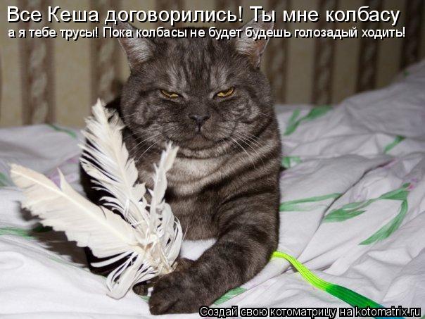 Все Кеша договорились! Ты мне колбасу а я тебе трусы! Пока колбасы не будет будешь голозадый ходить!... Котоматрица: Все Кеша договорились! Ты мне колбасу а я тебе трусы! Пока колбасы не будет будешь голозадый ходить!