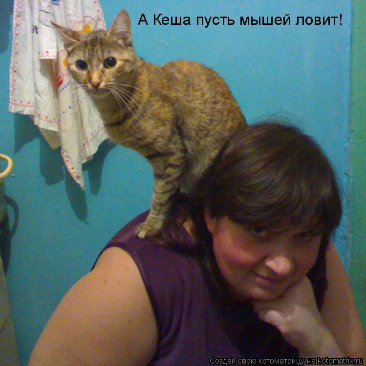 А Кеша пусть мышей ловит!... Котоматрица: А Кеша пусть мышей ловит!