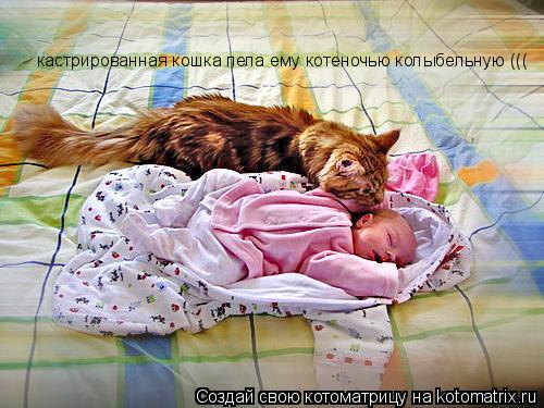 Котоматрица: кастрированная кошка пела ему котеночью колыбельную (((