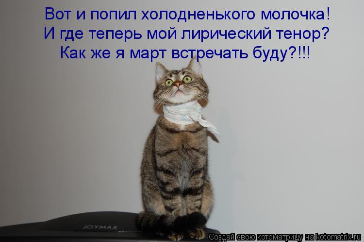 Вот и попил холодненького молочка! И где теперь мой лирический тенор? Как же я март встречать буду?!!... Котоматрица: Вот и попил холодненького молочка! И где теперь мой лирический тенор? Как же я март встречать буду?!!!