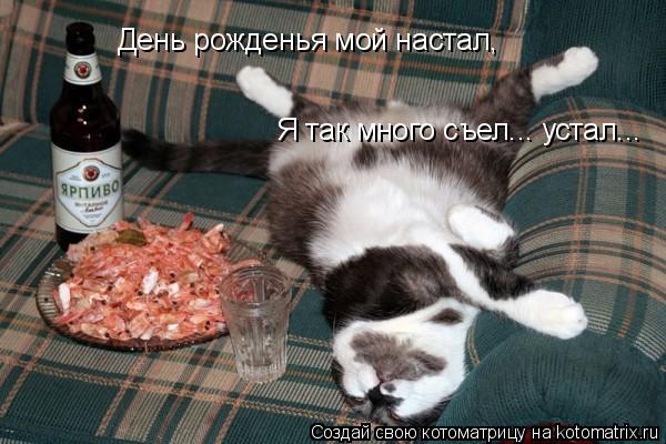 Котоматрица: День рожденья мой настал, Я так много съел... устал... Я так много съел... устал...