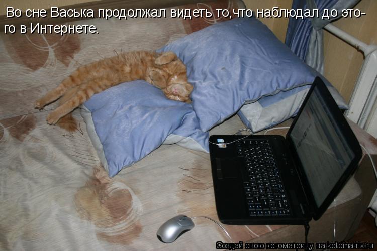 Во сне Васька продолжал видеть то,что наблюдал до это- го в Интернете.... Котоматрица: Во сне Васька продолжал видеть то,что наблюдал до это- го в Интернете.