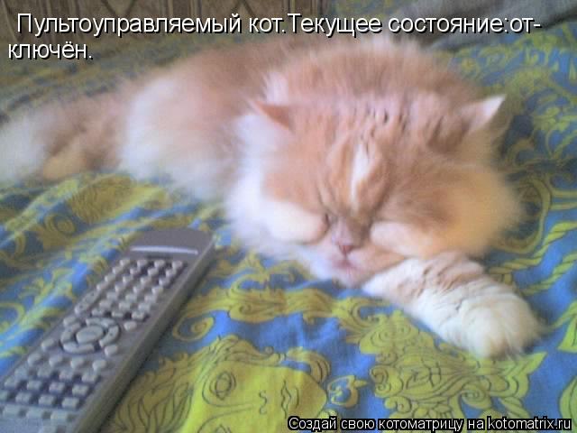 Пультоуправляемый кот.Текущее состояние:от- ключён.... Котоматрица: Пультоуправляемый кот.Текущее состояние:от- ключён.