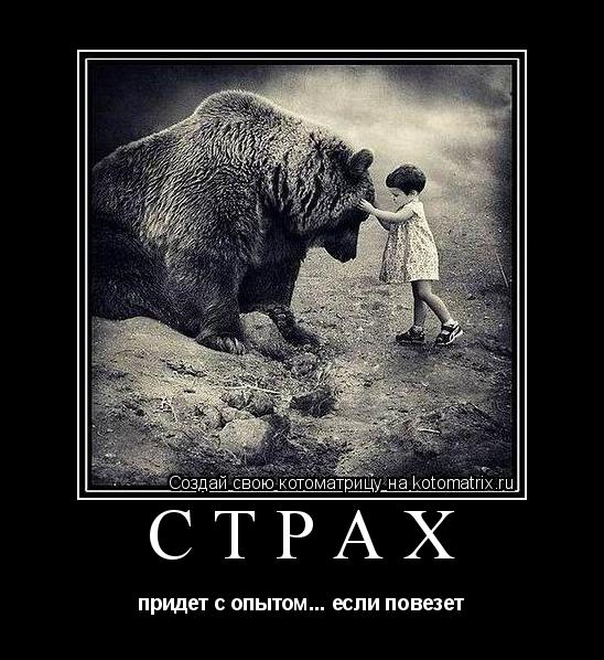 страх придет с опытом... если повезет... Котоматрица: страх придет с опытом... если повезет
