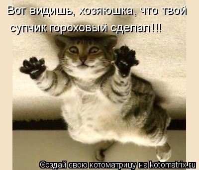 Котоматрица: Вот видишь, хозяюшка, что твой супчик гороховый сделал!!!