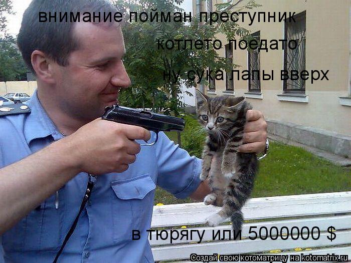 Котоматрица: внимание пойман преступник котлето поедато ну сука лапы вверх в тюрягу или 5000000 $