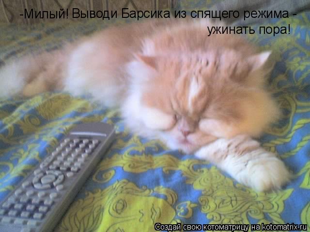 -Милый! Выводи Барсика из спящего режима - ужинать пора!... Котоматрица: -Милый! Выводи Барсика из спящего режима - ужинать пора!
