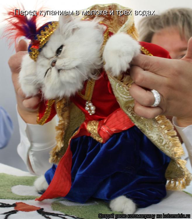 Перед купанием в молоке и трех водах... Котоматрица: Перед купанием в молоке и трех водах