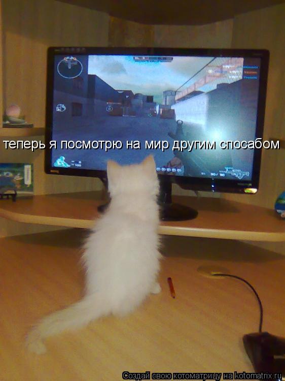 теперь я посмотрю на мир другим спосабом... Котоматрица: теперь я посмотрю на мир другим спосабом