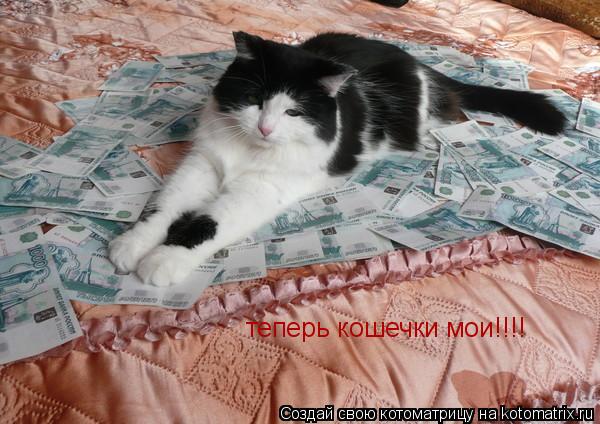 теперь кошечки мои!!!!... Котоматрица: теперь кошечки мои!!!!