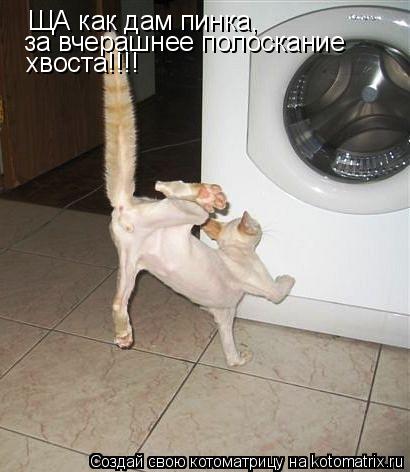 Котоматрица: ЩА как дам пинка,  за вчерашнее полоскание хвоста!!!!
