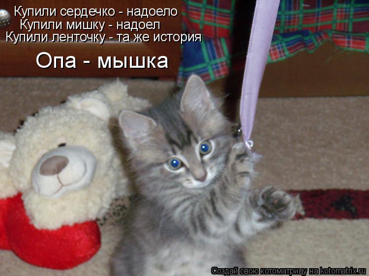 Котоматрица: Купили сердечко - надоело Купили мишку - надоел Купили ленточку - та же история Опа - мышка