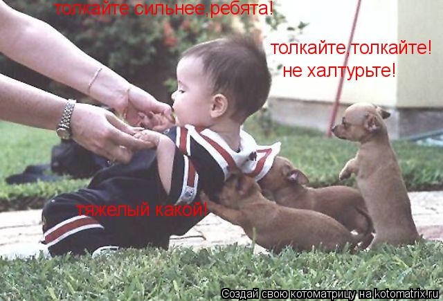 Котоматрица: толкайте сильнее,ребята! тяжелый какой! толкайте,толкайте! не халтурьте!
