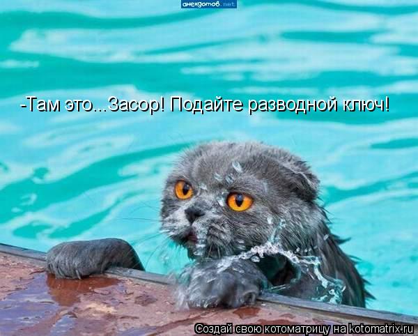 Котоматрица: -Там это...Засор! Подайте разводной ключ!