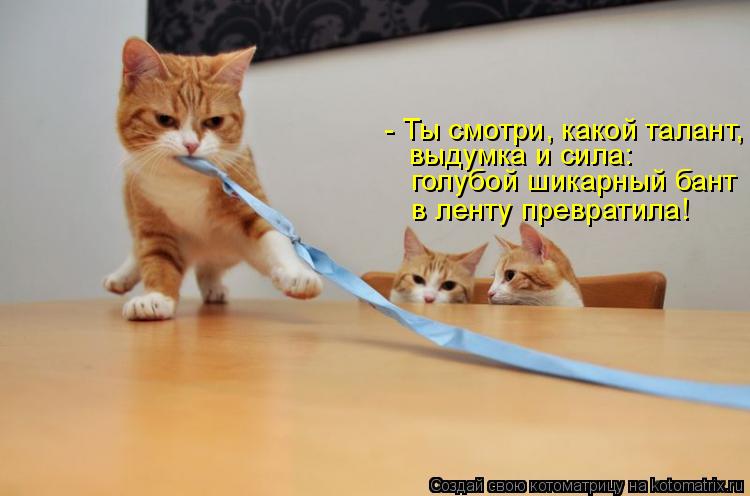 голубой шикарный бант выдумка и сила: - Ты смотри, какой талант, в ленту превратила!... Котоматрица: голубой шикарный бант выдумка и сила: - Ты смотри, какой талант, в ленту превратила!