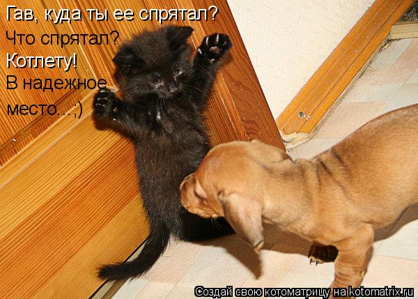 Котоматрица: Гав, куда ты ее спрятал? Что спрятал? Котлету! В надежное место...;)