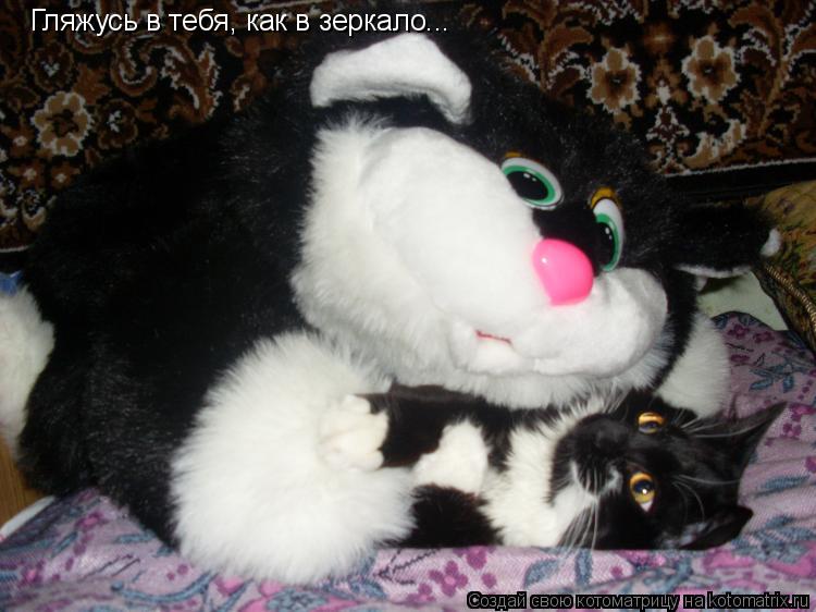 Котоматрица: Гляжусь в тебя, как в зеркало...