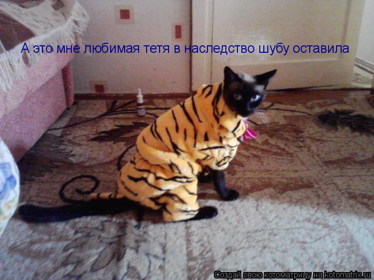 Котоматрица: А это мне любимая тетя в наследство шубу оставила