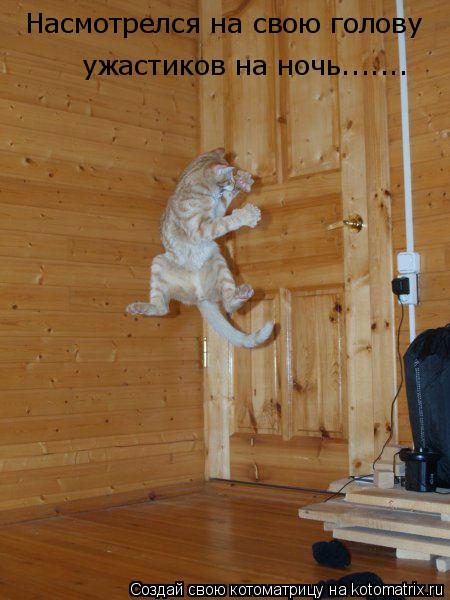 Котоматрица: Насмотрелся на свою голову  ужастиков на ночь.......