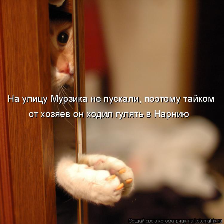 На улицу Мурзика не пускали, поэтому тайком от хозяев он ходил гулять в Нарнию... Котоматрица: На улицу Мурзика не пускали, поэтому тайком от хозяев он ходил гулять в Нарнию