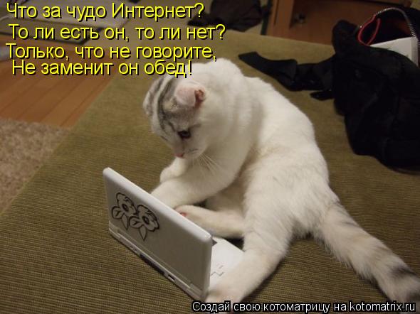 Что за чудо Интернет? То ли есть он, то ли нет? Только, что не говорите, Не заменит он обед!... Котоматрица: Что за чудо Интернет? То ли есть он, то ли нет? Только, что не говорите, Не заменит он обед!