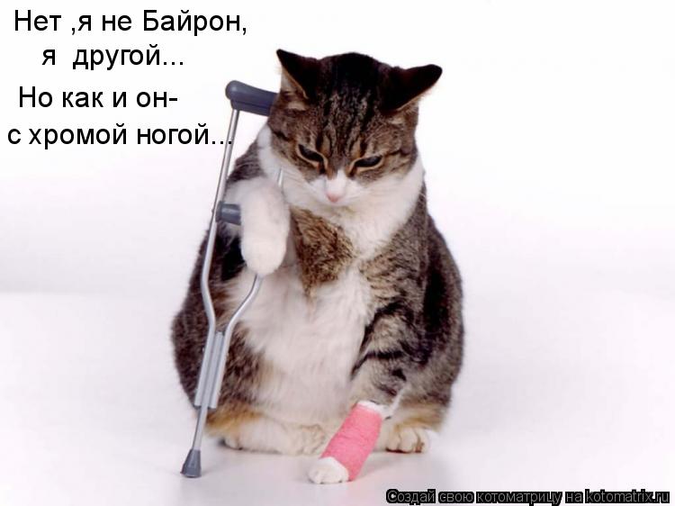Нет ,я не Байрон, Но как и он- с хромой ногой... я другой...... Котоматрица: Нет ,я не Байрон, Но как и он- с хромой ногой... я другой...