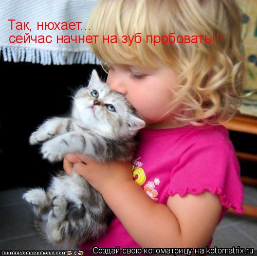 Так, нюхает... сейчас начнет на зуб пробовать!!!... Котоматрица: Так, нюхает... сейчас начнет на зуб пробовать!!!