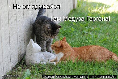 - Не оглядывайся! Там Медуза Гаргона!... Котоматрица: - Не оглядывайся! Там Медуза Гаргона!