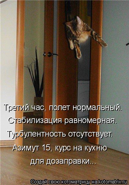 Котоматрица: Третий час, полет нормальный. Стабилизация равномерная. Турбулентность отсутствует. Азимут 15, курс на кухню для дозаправки...