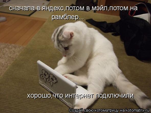 Котоматрица: сначала в яндекс,потом в мэйл,потом на рамблер... хорошо,что интернет подключили