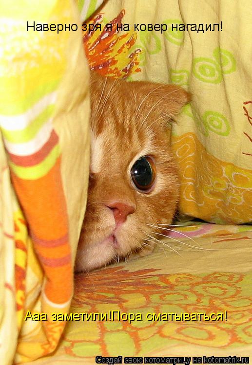 Котоматрица: Ааа заметили!Пора сматываться! Наверно зря я на ковер нагадил!