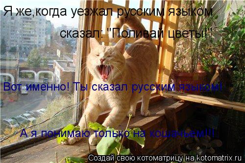 Котоматрица: Я же,когда уезжал русским языком  сказал: "Поливай цветы!" Вот именно! Ты сказал русским языком! А я понимаю только на кошачьем!!!