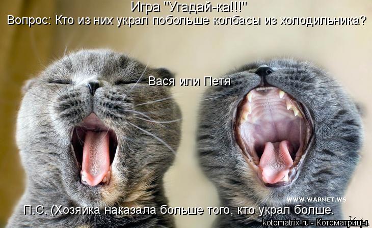 Игра "Угадай-ка!!!" Вопрос: Кто из них украл побольше колбасы из холодильника? Вася или Петя П.С. (Хо... Котоматрица: Игра "Угадай-ка!!!" Вопрос: Кто из них украл побольше колбасы из холодильника? Вася или Петя П.С. (Хозяйка наказала больше того, кто украл болше