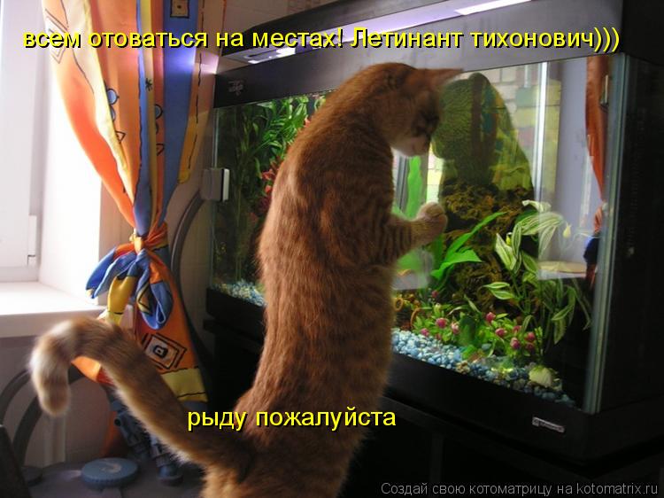 всем отоваться на местах! Летинант тихонович))) рыду пожалуйста... Котоматрица: всем отоваться на местах! Летинант тихонович))) рыду пожалуйста