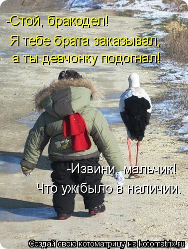 Котоматрица: Я тебе брата заказывал, -Стой, бракодел!  а ты девчонку подогнал! -Извини, мальчик! Что уж было в наличии.