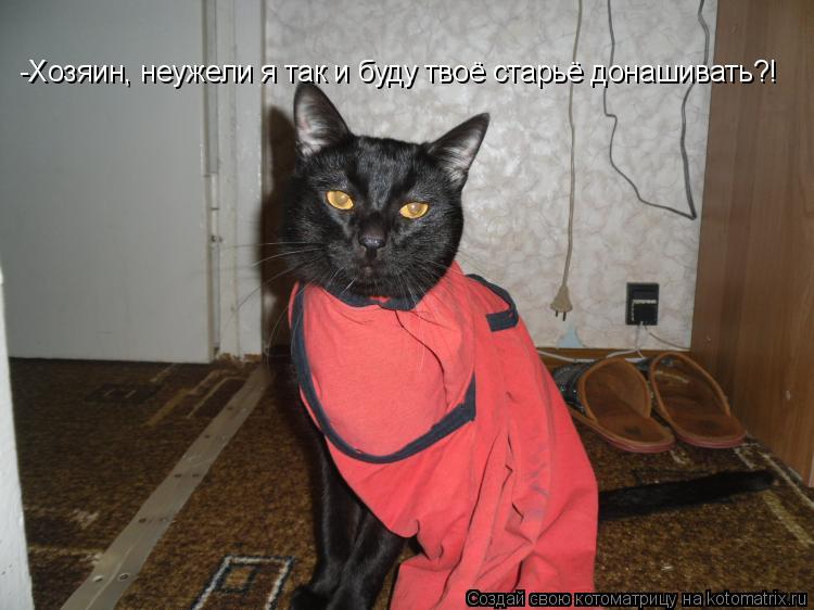 Котоматрица: -Хозяин, неужели я так и буду твоё старьё донашивать?!