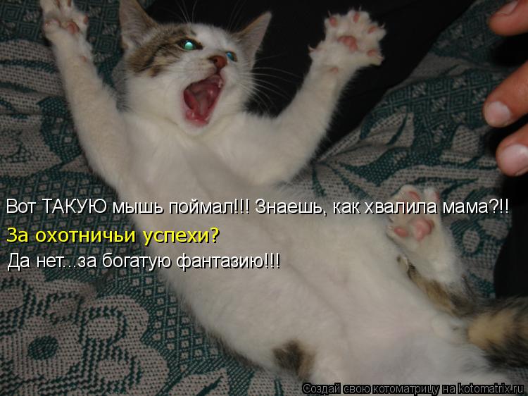 Вот ТАКУЮ мышь поймал!!! Знаешь, как хвалила мама?!! За охотничьи успехи? Да нет...за богатую фантази... Котоматрица: Вот ТАКУЮ мышь поймал!!! Знаешь, как хвалила мама?!! За охотничьи успехи? Да нет...за богатую фантазию!!!