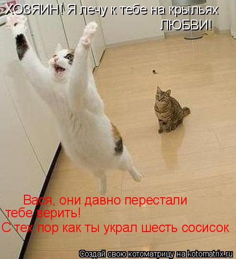 ХОЗЯИН! Я лечу к тебе на крыльях ЛЮБВИ! Вася, они давно перестали тебе верить! С тех пор как ты укр... Котоматрица: ХОЗЯИН! Я лечу к тебе на крыльях ЛЮБВИ! Вася, они давно перестали тебе верить! С тех пор как ты украл шесть сосисок