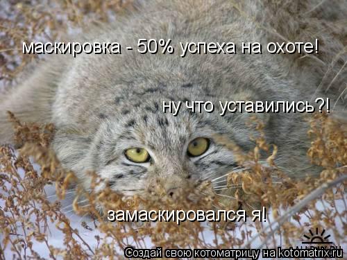 Котоматрица: маскировка - 50% успеха на охоте! ну что уставились?! замаскировался я!