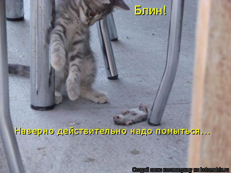 Блин! Наверно действительно надо помыться...... Котоматрица: Блин! Наверно действительно надо помыться...