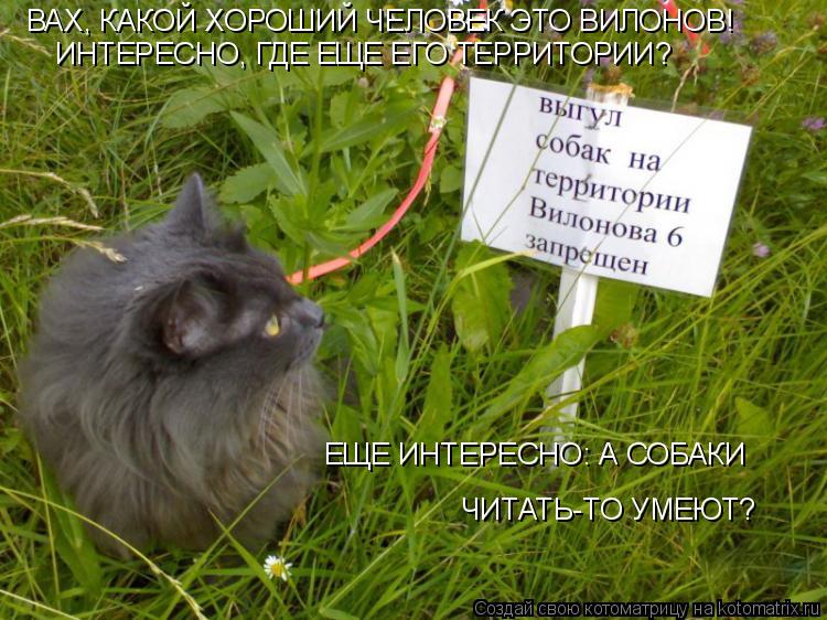 ВАХ, КАКОЙ ХОРОШИЙ ЧЕЛОВЕК ЭТО ВИЛОНОВ! ИНТЕРЕСНО, ГДЕ ЕЩЕ ЕГО ТЕРРИТОРИИ? ЕЩЕ ИНТЕРЕСНО: А СОБАКИ ... Котоматрица: ВАХ, КАКОЙ ХОРОШИЙ ЧЕЛОВЕК ЭТО ВИЛОНОВ! ИНТЕРЕСНО, ГДЕ ЕЩЕ ЕГО ТЕРРИТОРИИ? ЕЩЕ ИНТЕРЕСНО: А СОБАКИ ЧИТАТЬ-ТО УМЕЮТ?