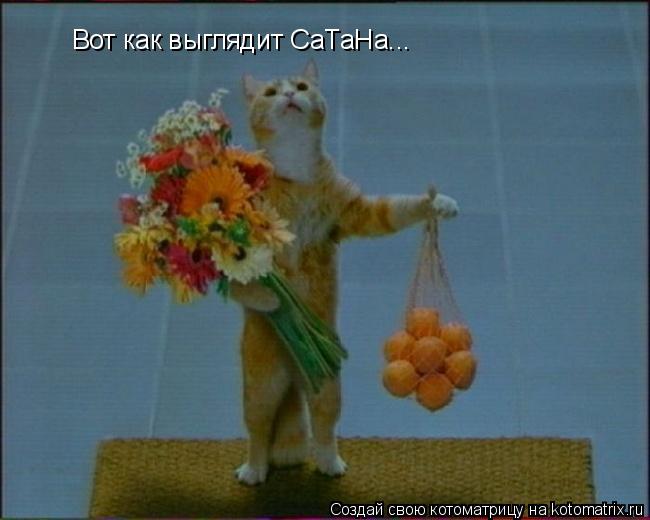 Вот как выглядит СаТаНа...... Котоматрица: Вот как выглядит СаТаНа...