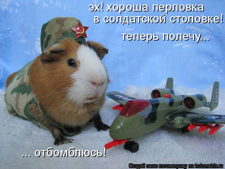 Котоматрица: эх! хороша перловка  в солдатской столовке!  теперь полечу... ... отбомблюсь!