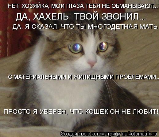 Котоматрица: НЕТ, ХОЗЯЙКА, МОИ ГЛАЗА ТЕБЯ НЕ ОБМАНЫВАЮТ... ДА, ХАХЕЛЬ  ТВОЙ ЗВОНИЛ... ДА, Я СКАЗАЛ, ЧТО ТЫ МНОГОДЕТНАЯ МАТЬ С МАТЕРИАЛЬНЫМИ И ЖИЛИЩНЫМИ ПРОБЛ